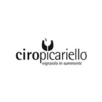 Buy Ciro Picariello Wine VINVM