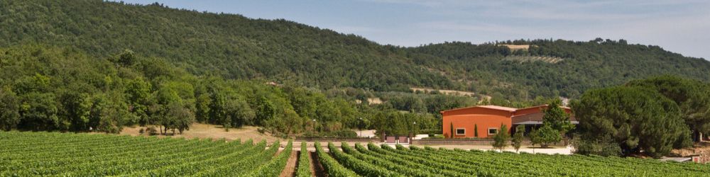 Buy Antinori Fattoria Aldobrandesca Vie Cave 2021 - VINVM