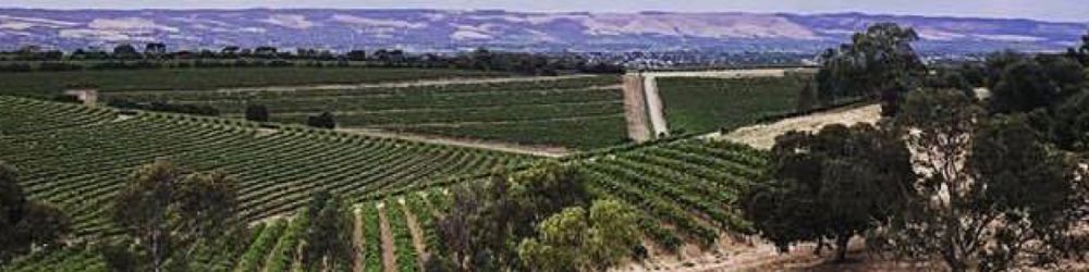 Buy Heirloom Vineyards Adelaide Hills Pinot Noir 2023 - VINVM